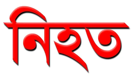 মহেশপুরে সড়ক দুর্ঘটনায় যুবক নিহত