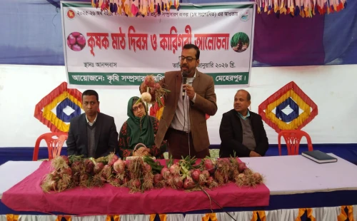 মুজিবনগরে গ্রীষ্মকালীন পেঁয়াজ চাষের প্রসারে কৃষক মাঠ দিবস অনুষ্ঠিত