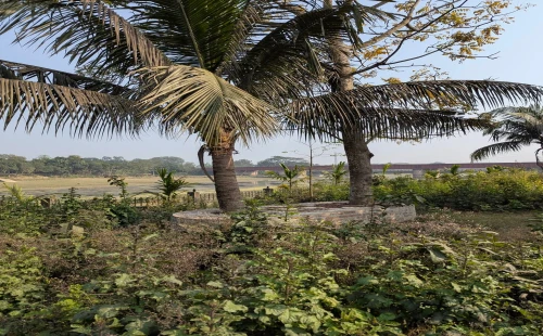সীমানা জটিলতায় থমকে আছে আলমডাঙ্গা পৌর পার্ক