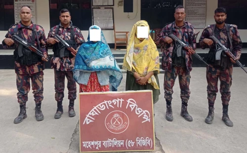 মহেশপুর সীমান্ত দিয়ে ভারতে যাওয়ার সময় আটক ২