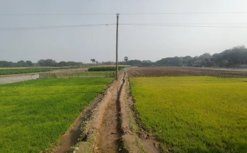দর্শনায় ৭৪ বছর দখলে থাকা জমি জোরপূর্বক দখলের অভিযোগ