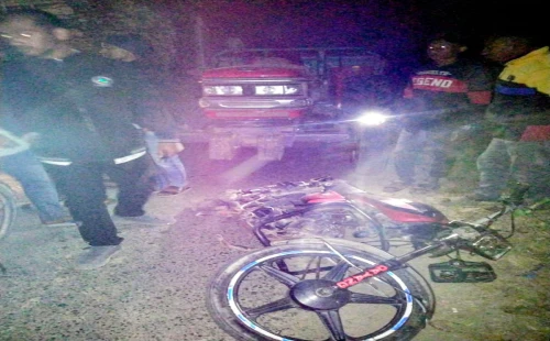 আলমডাঙ্গায় ট্রাক্টরের ধাক্কায় দুজন নিহত