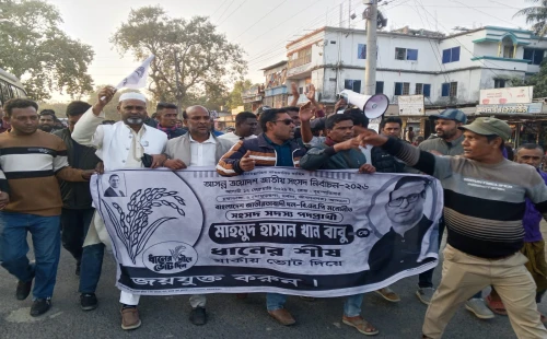 জীবননগর হাসাদাহে ধানের শীষের গণসংযোগ