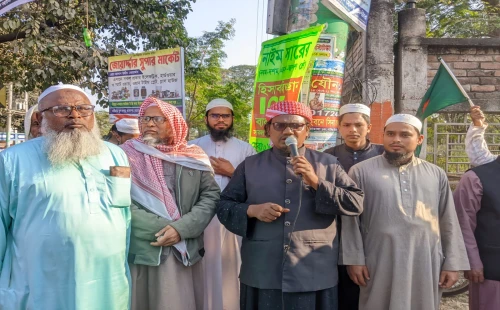 চুয়াডাঙ্গা-১ আসনে হাতপাখা মার্কার পক্ষে গণসংযোগ