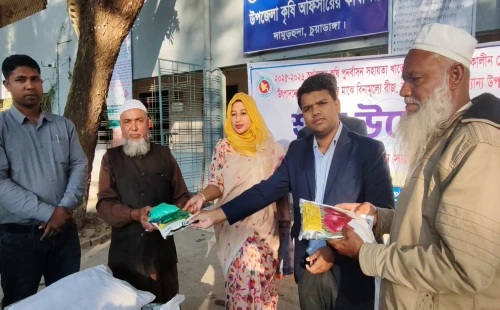 দামুড়হুদায় বিনামূল্যে পেঁয়াজ বীজ ও সার বিতরণ