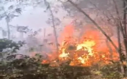 আলমডাঙ্গা উপজেলার ডাউকি ইউনিয়নে ভয়াবহ অগ্নিকাণ্ড