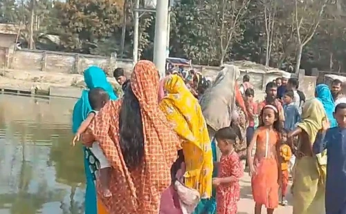 চুয়াডাঙ্গায় পুকুরে মিলল নবজাতকের মরদেহ