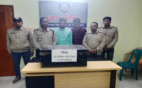 ঝিনাইদহে ২৪ কেজি গাঁজাসহ দুজন গ্রেপ্তার