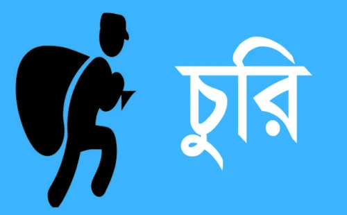 দর্শনায় পরানপুর মাঠে ফসল চুরি