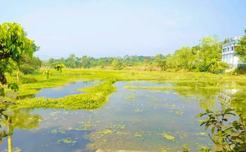 দামুড়হুদার কাঁঠালতলা-তারিনীপুর খাল পুনঃখননের দাবি