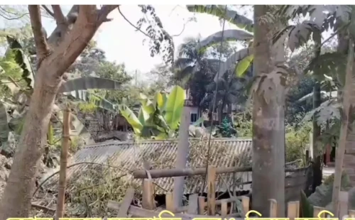 আলমডাঙ্গার ডম্বলপুরে জমি দখলের চেষ্টায় হামলার অভিযোগ