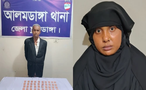 ৪৪০ পিস ট্যাপেন্টাডলসহ দুজন আটক