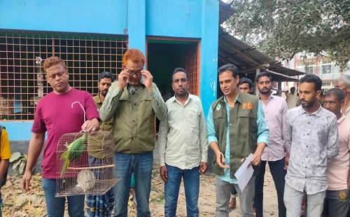 সরোজগঞ্জ বাজারে বন বিভাগের অভিযানে টিয়া পাখি ও দেশীয় খরগোশ উদ্ধার