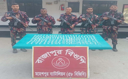 জীবননগর রাজাপুর সীমান্তে অর্ধকোটি টাকার ডিএনএ কিট জব্দ
