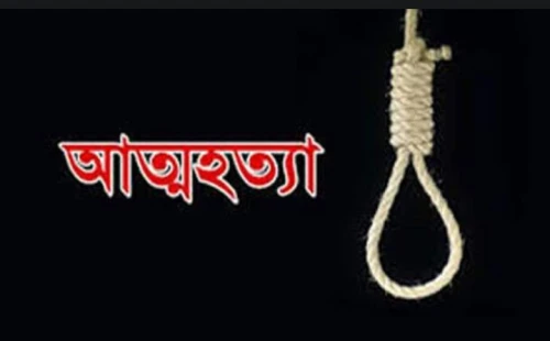 দর্শনায় গলায় ফাঁস দিয়ে গৃহবধূর আ*ত্মহ*ত্যা