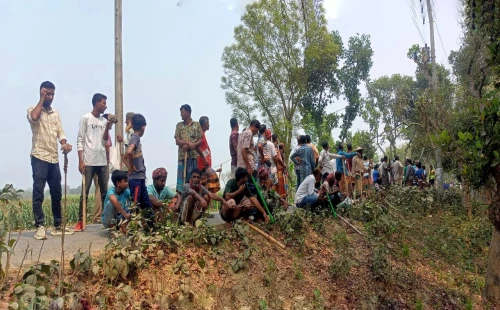 গাংনীতে ভিজিএফের চাল বিতরণকে কেন্দ্র করে উত্তেজনা