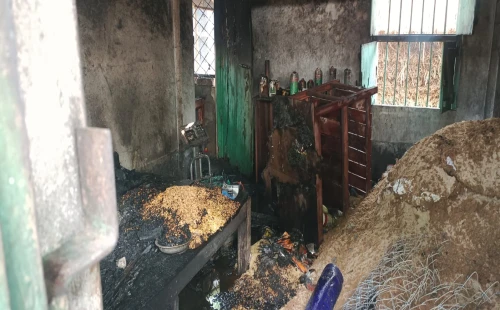 চুয়াডাঙ্গায় বদরগঞ্জে গরু-মুরগির ফার্মে ভয়াবহ অগ্নিকাণ্ড