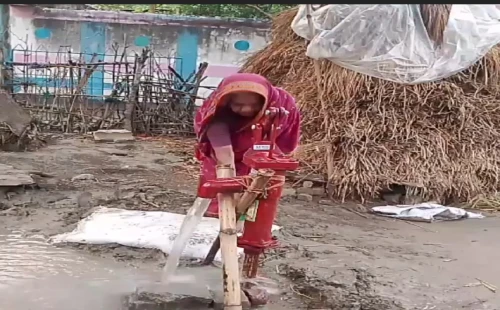 আলমডাঙ্গায় অসহায় বৃদ্ধার পাশে মালয়েশিয়া প্রবাসী জামিল হোসেন