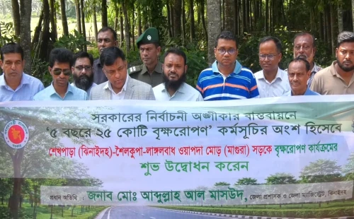 শৈলকুপায় ২৬ কিলোমিটার সড়কের দুই পাশে লাগানো হবে ২ হাজার গাছ‎