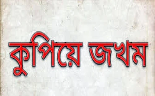 দামুড়হুদায় জমি নিয়ে বিরোধে চাচাকে কুপিয়ে জখম