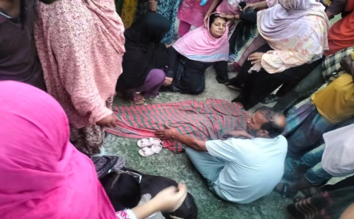 দর্শনায় ট্রাকের চাকায় পিষ্ট হয়ে শিশুর মর্মান্তিক মৃত্যু