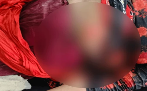 জীবননগরে ঘুমন্ত নারীকে কুপিয়ে হত্যা