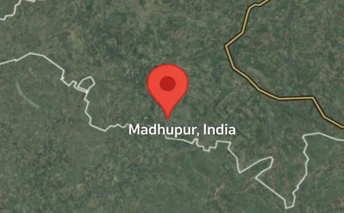 মহেশপুর সীমান্তে বিএসএফের হাতে ৩ বাংলাদেশি আটক