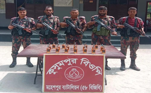 ঝিনাইদহের মহেশপুর সীমান্তে বিজিবির অভিযান