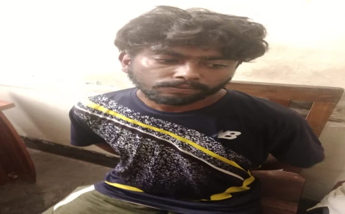 চুয়াডাঙ্গা সদর হাসপাতালে শিশুর গলা থেকে চেইন ছিনতাইয়ের চেষ্টা, যুবক গ্রেপ্তার