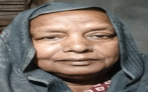 সাংবাদিক হামিদুল ইসলামের মায়ের ইন্তেকাল