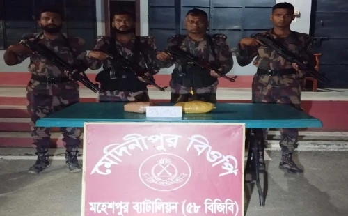 জীবননগরের মেদেনীপুর থেকে গাঁজা উদ্ধার