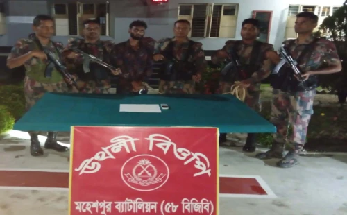 জীবননগর উথলী ও নতুনপাড়া সীমান্তে বিজিবির অভিযান
