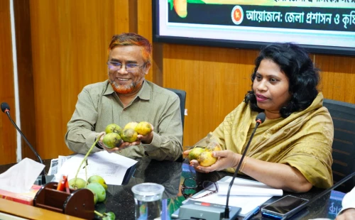চুয়াডাঙ্গায় ১৩ মে থেকে শুরু হচ্ছে আম সংগ্রহ, চলবে ৩১ জুলাই পর্যন্ত