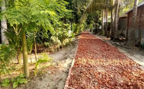 শৈলকূপায় গ্রামীণ রাস্তা নির্মাণে নিম্নমানের সামগ্রী ব্যবহার পিআইসি’র কাজ করছেন রাজনৈতিক নেতা!