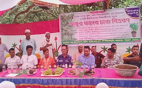 দামুড়হুদায় শিক্ষার্থীদের মাঝে আঙ্গুরের চারা বিতরণ