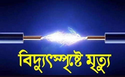 মেহেরপুরে বিদ্যুৎস্পৃষ্ট হয়ে কৃষকের মৃত্যু