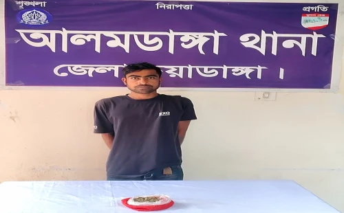 আলমডাঙ্গায় গাঁজাসহ মাদক কারবারি গ্রেপ্তার