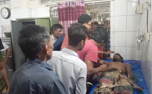 গাংনীতে সাপের কামড়ে কৃষকের মৃত্যু