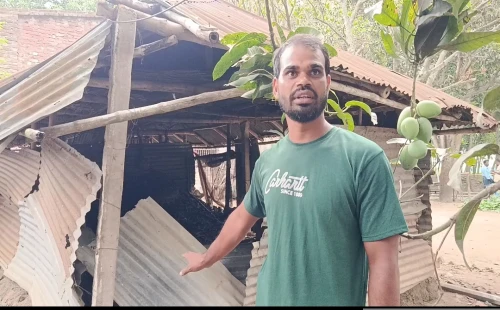 কুড়ুলগাছির সদাবরী গ্রামের পলীø চিকিৎসকের গরু চুরি