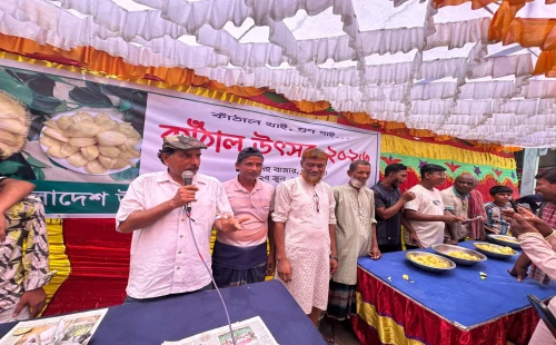 চুয়াডাঙ্গার ডিঙ্গেদহে উদীচীর কাঁঠাল উৎসব