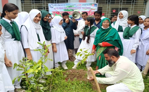 চুয়াডাঙ্গায় ঝিনুক মাধ্যমিক বালিকা বিদ্যালয়ে র‌্যালি ও বৃক্ষরোপণ কর্মসূচি পালন