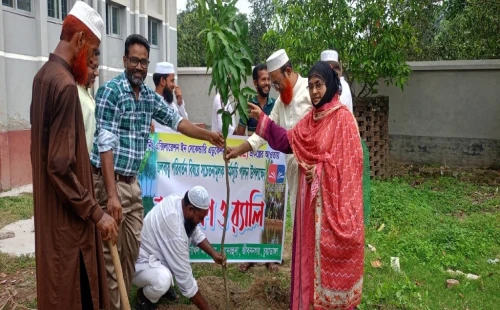 সেনেরহুদা জান্নাতুল খাদরা দাখিল মাদ্রাসায় বৃক্ষরোপণ