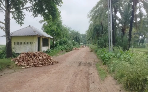 সরোজগঞ্জের খাসকররা চারাতলা মাঠে সংঘবদ্ধ ডাকাত দলের হানা