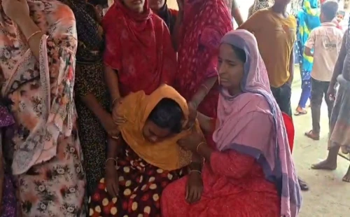 জীবননগরে গাছের ডাল কাটতে গিয়ে কৃষকের মৃত্যু