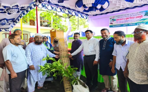 চুয়াডাঙ্গায় ৫০টি বিদ্যালয়ে গাছের চারা বিতরণকালে শরীফুজ্জামান শরীফ