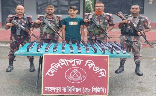 চুয়াডাঙ্গার দর্শনা সীমান্তে বিএসএফের পুশ-ইনের চেষ্টা প্রতিহত