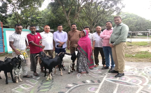 ভিক্ষাবৃত্তি থেকে স্বাবলম্বী জীবনের পথে মুজিবনগরে তিনজনকে ছাগল উপহার