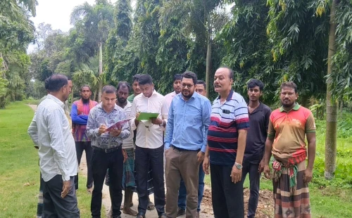 দামুড়হুদার ডিসি ইকো পার্কে গাছ কাটায় অনিয়মের অভিযোগ