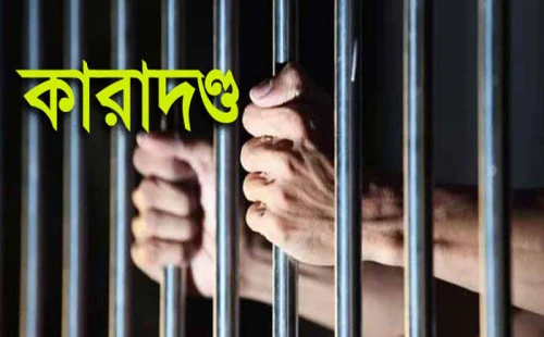 দর্শনায় মাদক সেবনের অপরাধে দুজন আটক