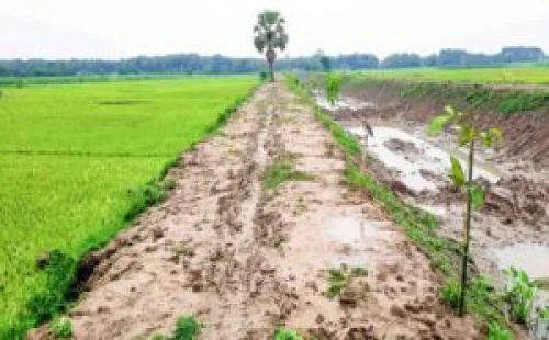 হরিণাকুণ্ডুতে পরিত্যক্ত খাল পুনঃখননে কৃষকের মুখে হাসি